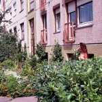 In a residential area