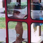 In a residential area