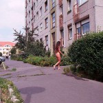 In a residential area