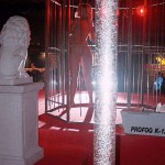 Visiting an erotic fair