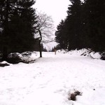 In the snow within a hiking area