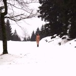 In the snow within a hiking area