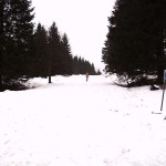 In the snow within a hiking area