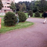 In a park joining a brief game of boccia