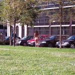 In a park joining a brief game of boccia