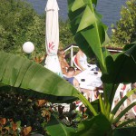 In Croatia breakfast at the hotel