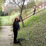 On a shopping street