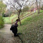 On a shopping street