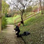 On a shopping street