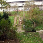 On a shopping street