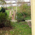 On a shopping street