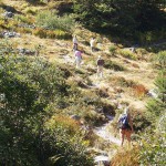 Hiking in Switzerland