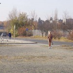 On the streets of Prague