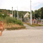 Reading the timetables