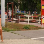 Reading the timetables