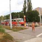 Reading the timetables