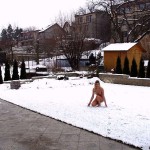 In the snow of a garden