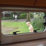 The start of the camping trip