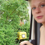 A walk in the park camping trip