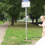 A walk in the park camping trip