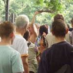 Love parade camping trip