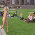 On a meadow at the national gallery