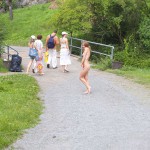 A long walk through a park