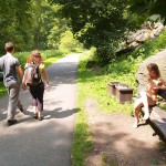 A long walk through a park