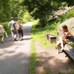 A long walk through a park