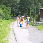 A long walk through a park