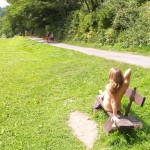 A long walk through a park