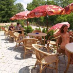 A long walk through a park