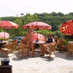 A long walk through a park