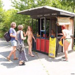 A long walk through a park