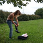 At a meadow next to a main road