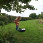 At a meadow next to a main road