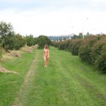 At a meadow next to a main road