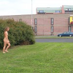 At a meadow next to a main road