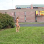 At a meadow next to a main road