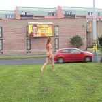 At a meadow next to a main road