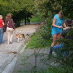 In a well frequented park