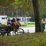 In a well frequented park