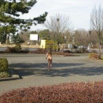 At a train and bus station