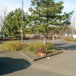 At a train and bus station