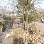 On a trail in a garage