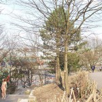 On a trail in a garage