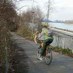 On and around a bridge