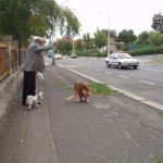 Downtown in the rain inside a wine shop