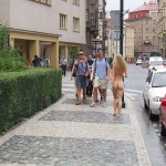 Downtown in the rain inside a wine shop