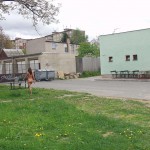 At several places on the streets